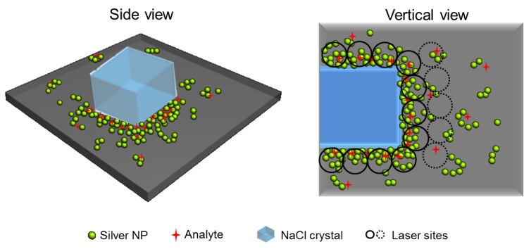 Figure 2.jpg